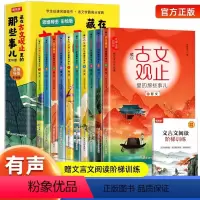 [全10册]藏在古文观止里的那些事儿 [正版]藏在古文观止里的那些事儿全套10册儿童版小学版小古文观止启蒙译注思维导图彩