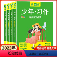 [全4册]意林少年习作 [正版]意林少年习作2023年意林少年版意林18周年纪念版中考作文为中小学打造的作文素材