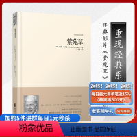 [正版]重现经典系列:紫苑草 经典影片《紫苑草》原著20世纪百大英文小说之一当代城市文学和实验现实主义文学经典之作索尔