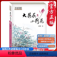 [正版]《大荷花 小荷花》孟宪明 10-15岁儿童文学长篇小说 抗战题材