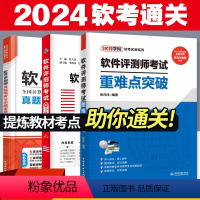 [正版]2024年全国计算机技术与软件专业技术资格水平考试用书软件评测师考试32小时通关+真题命题密卷+重难点突破 全