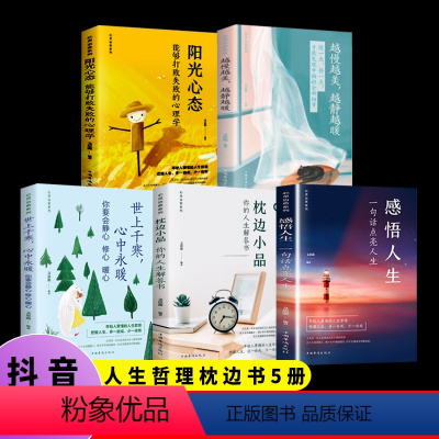 [正版] 全五册 感悟人生 阳光心态 越慢越美越静越暖 世上千寒心中永暖 枕边小品 人生哲理枕边书一句话点亮人生X