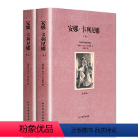 [正版]中文足本安娜卡列尼娜 (俄罗斯)托尔斯泰,王英丽 童书 外国儿童文学 经典名著少儿版 北方文艺出版社千家集