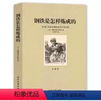 [正版]中文足本文学名著:钢铁是怎样炼成的 奥斯特洛夫斯基, 赵淑贤 小说 经典名著 北方文艺出版社千家集