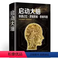 [正版]启动大脑快速记忆 逻辑思维 思维导图训练知识大全 提升大脑思维能力 逻辑学万万没想到快速阅读学习记忆法