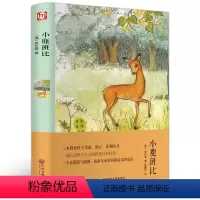[正版]小鹿班比 精装版 经典文学小说 小鹿斑比全中文中小学生青少年图书课外读物 703