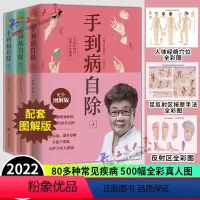 [正版]赠挂图 手到病自除 杨奕 全三册 123全套图解按摩教程书籍养生全集 足底按摩教学书 中医养生按摩推拿健康百