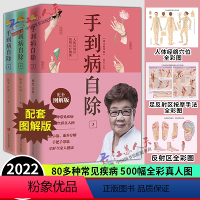 [正版]赠挂图 手到病自除 杨奕 全三册 123全套图解按摩教程书籍养生全集 足底按摩教学书 中医养生按摩推拿健康百