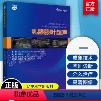 [正版]乳腺腺叶超声 多米尼克艾米 超声基础学入门彩超乳腺超声诊断学乳腺 超声与病理诊断 乳腺超声基础教程 超声影像
