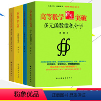 数学 [正版]高等数学新生突破 多元函数微积分学+一元函数微分学+一元函数积分学+无穷级数与常微分方程 高等数学 数学分