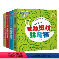 [正版]新书 幼儿思考形状洞洞书(全4册) 我的本动物斑纹躲猫猫 3-9-12岁儿童科普百科图画故事书 亲子互动游戏书