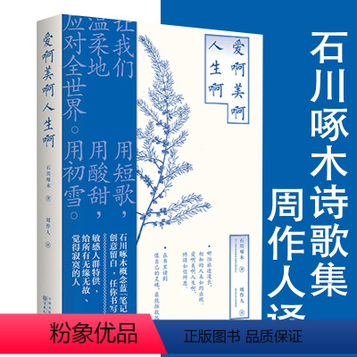 [正版]爱啊美啊人生啊 石川啄木著周作人译日本文学诗集时代的剪影短歌集现当代文学散文诗歌词曲书籍