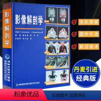 [正版]丹麦引进影像解剖学 X线CT磁共振MRI超声诊断医学超声影像学诊断原理与技术图谱图解影像解剖学临床解剖学图谱影