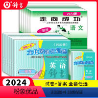 语文+数学+英语[试卷+答案] [2024年版]高考一模卷 [正版]2024年上海高考一模卷英语领先一步文化课强化训练语