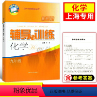 [正版]新思路辅导与训练 化学 9年级 上册下册全一册 九年级第一二学期 书后含答案 上海科学技术出版社