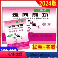 数学 上海 [正版]2024年版走向成功二模数学上海中考二模卷数学 试卷+答案 走向成功数学二模卷 中西书局 初三九年级