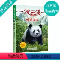 熊猫青青 [正版]沈石溪动物小说 熊猫青青fb小学生三四五六年级课外阅读书籍儿童文学读物经典书目 沈石溪的书全系列