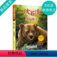 绝境熊王 [正版]沈石溪动物小说 绝境熊王fb小学生三四五六年级课外阅读书籍儿童文学读物经典书目 沈石溪的书全系列