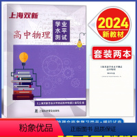 物理 高中通用 [正版]2024版上海双新高中物理学业水平测试附赠模拟试卷+电子版答案上海高中合格考物理复习用书合格考物