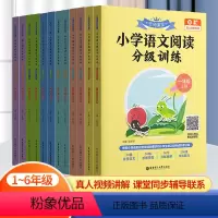 语文 小学一年级 [正版]名师课堂 小学语文阅读分级训练 一二三四五六123456年级上下册赠真人讲解视频适合小学生练习