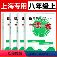 [套装4册]八年级上 语数英物 普通版 八年级上 [正版]2023一课一练八年级上册语文数学英语物理8年级上册第一学期初