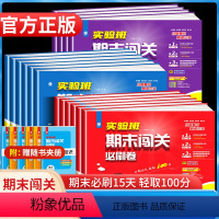 新版⭐语文+数学+英语人教版[3本套装] 五年级下 [正版]2024春小学实验班期末闯关必刷卷五年级下册语文人教RJ数学