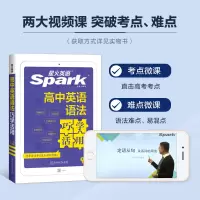 高中英语语法巧学活用 高中通用 [正版]2023版星火英语高中英语语法巧学活用高一高二高三英语语法知识大全英语语法专题训