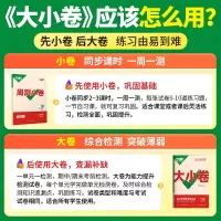 生物[人教版] 八年级 [正版]2024版万唯大小卷初中八年级上下册生物人教版RJ 8年级单元同步试卷训练期中期末模拟复