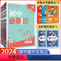 [人教版]九上全套 九年级上 [正版]2024新版初中必刷题九年级上册语文数学英语3本套装 人教版 9九年级上册语数英初