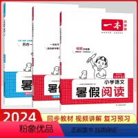 [语文+数学]暑假阅读+口算+字帖1升2 小学一年级 [正版]2024版小学数学暑假口算1升2衔接专项训练 数学暑假一升