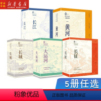 大运河(共5册) [正版]国家文化公园主题连环画系列:长城 长江 黄河 长征 大运河 全5套 人类文明的宝贵财富华夏儿女