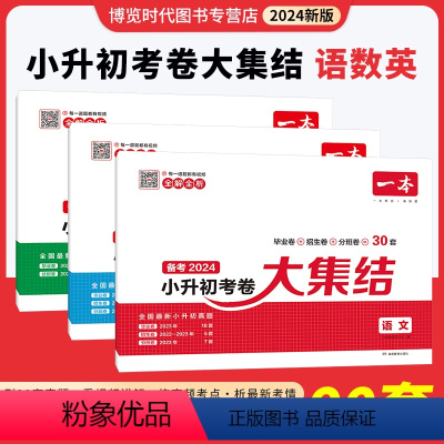 [语数英3本]考卷大集结 小学升初中 [正版]2024新品小学知识大盘点名校冲刺方案小升初冲刺新卷考卷大集结数学语文英语