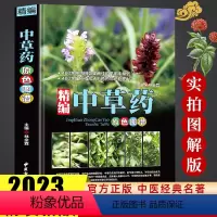 [正版]精编中国药典中药原色图谱中草药图鉴图谱中国药材图鉴 中医学书籍中药材大全 300余种常用中草药识别应用原色图片