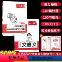 小升初[阅读训练100篇+文言文] 小学升初中 [正版]2025版小升初语文阅读训练100篇文言文阅读与训练阅读理解专项