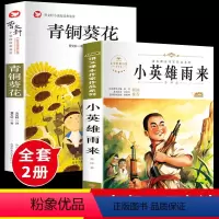 青铜葵花+小英雄雨来 [正版]青铜葵花曹文轩完整版和小英雄雨来四年级下册必读经典书目全2册原著系列儿童文学全套老师小学生