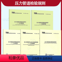 5本套压力管道检验规则监督定期检验规则工业管道公用管道工业管道长输(油气)管道 [正版]常用压力管道定期检验规则安全技术