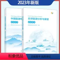 [正版]2023年新版2本套 中国能源电力发展展望+全球能源分析与展望 中国电力出版社 2022能源与电力分析年度报告