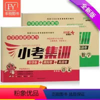 [正版]小学数学六年级小升初试卷中考试模拟专项真题卷子语文数学总复习重点小学六年级下册小考集训六年级小升初考试试卷人教