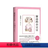 窗边的小豆豆 平装 [正版]窗边的小豆豆书非注音版合集绘本南海出版社黑柳彻子 三四五六年级小学生课外阅读书籍7-10岁儿