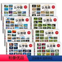 中国世界地球宇宙花草树木鸟类昆虫全8册 [正版]全套8册认花草树木昆虫鸟类宇宙地球世界中国科普百科全书3-6岁幼儿园绘本