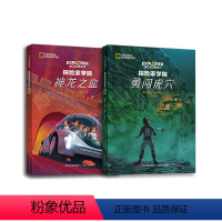 (2册)探险家学院.神龙之血+勇闯虎穴 [正版](8册)探险家学院1-8神龙之血涅布拉的秘密猎鹰的羽毛双螺旋勇闯虎穴星星