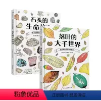 (2册)盛口满的手绘自然图鉴石头+落叶 [正版](2册)盛口满的手绘自然图鉴石头的生命故事+7-10岁 落叶植物 日本童