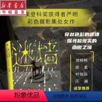 [正版]迷墙 侯登科奖得主严明摄影集 彩色摄影作品 2019-2023 彩色摄影作品照片写真图集册书籍收藏模仿参考素