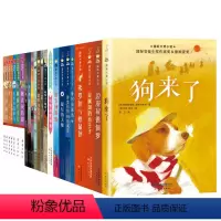 国际大奖小说分级阅读三星(共26册) [正版]国际大奖小说一二三四五星现当代国外经典文学故事儿童青少年成长初高中小学生课