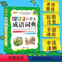 [正版]彩图版成语小学生成语词典工具书1-6年级词典大全书新版字典现代汉语多全功能字典笔顺同义词近义词反义词100个故