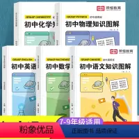 初中知识图解 语数英物化(全5册) 初中通用 [正版]荣恒初中知识图解大全套装数学语文英语物理化学基础知识大全公式定律考
