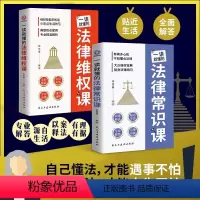 [2册]法律常识+维权技能 [正版]一读就懂的法律维权课常识课常用法律书籍大全一本书读懂常识刑法民法合同法有再多心计不如