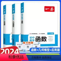★一次买全套★几何模型+函数+应用题专项练习(全3册) 初中通用 [正版]2024版数学初中几何模型函数应用题专项训练七
