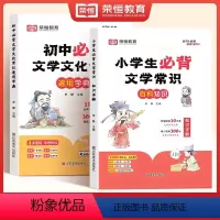 [全两册]小学+初中 必背文学常识 [正版]小学初中必背文学文化常识积累大全初一二三思维导图速记版语文基础知识手册七八九