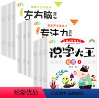 [全60册]专注力训练+左右脑开发+识字大王 [正版]儿童专注力训练贴纸书左右脑开发亲子互动游戏启蒙专注力训练贴画全套4